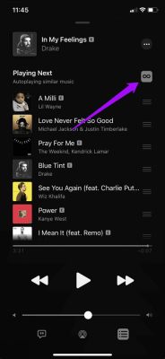 How to Disable Apple Music Autoplay: A Symphony of Silence and Chaos